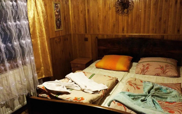 Guest House Mandrivnyi