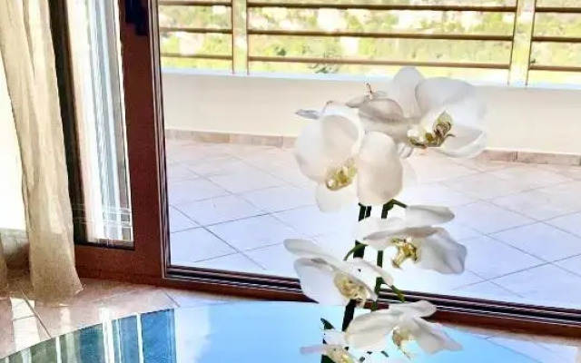 Serenity Holiday Home with self contained apartment and private pool