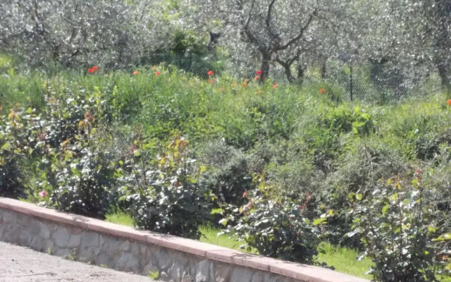 Villa Paola
