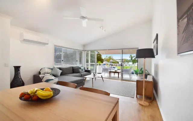 Noosa River Palms