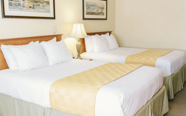 Lavissh Inn & Suites