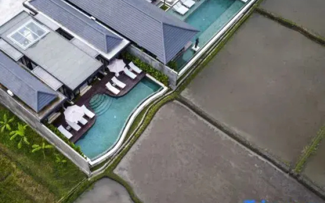 Villa Tenang – Modern 4BR, Private Pool, Ubud