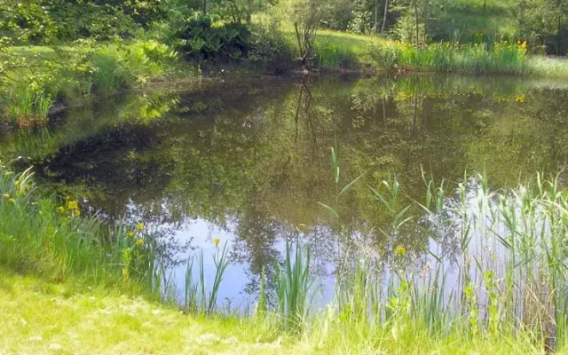 B&B t Woudsebos