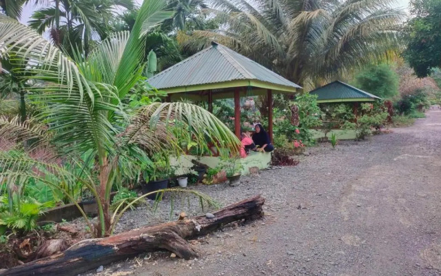 Jungle View Homestay Bukit Lawang