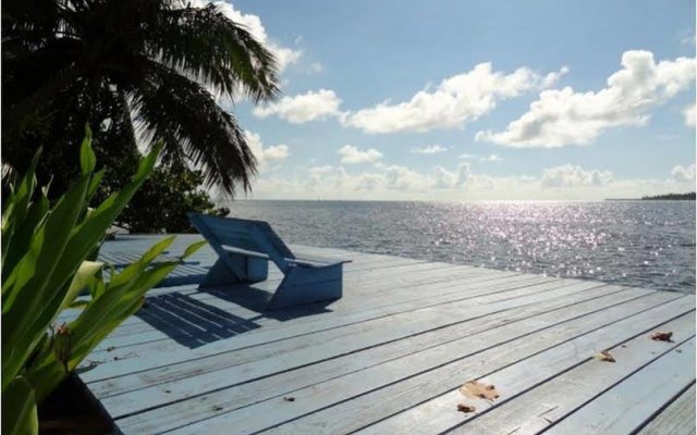 Отель Les Tipaniers Французская Полинезия, Муреа - отзывы, цены и фото номеров - забронировать отель Les Tipaniers онлайн пляж