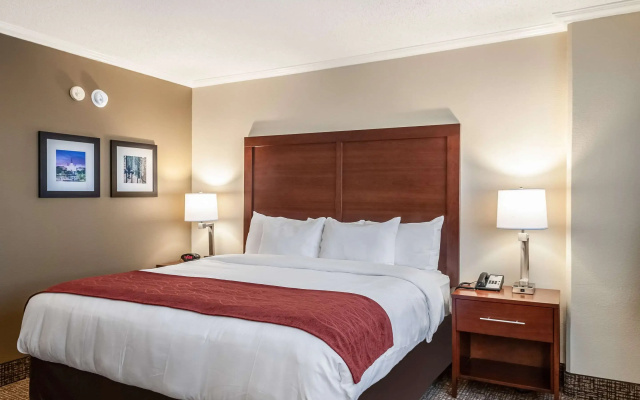 Comfort Inn & Suites At Copeland Tower
