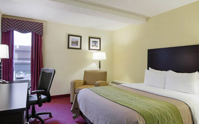 Comfort Inn West