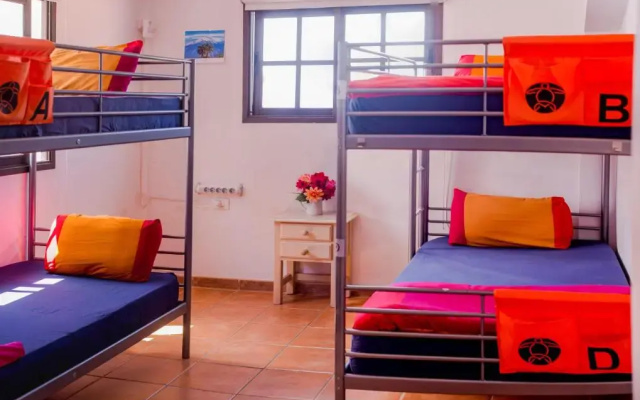 La Tortuga Hostel