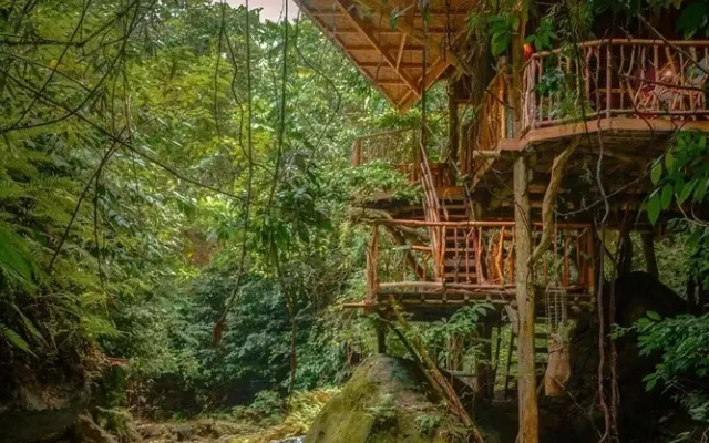 Treehouse de Valentine Mountain Resort