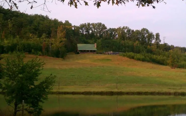 Misty Meadow Farm & Cabin