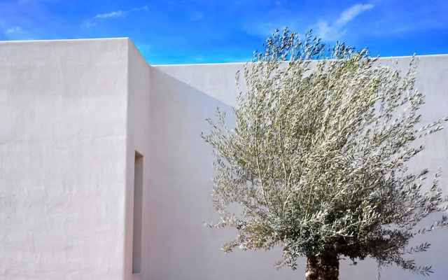 Hotel Boutique Mi Almazara