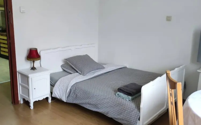 Room in Guest Room - Private Room C In Brussels