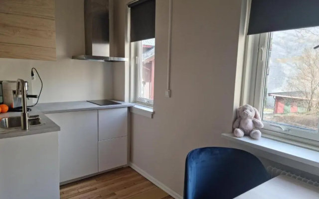 Majorstuen studio apartment