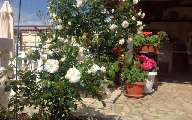 Rose Garden Guest House
