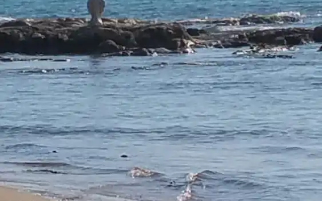 Sole Mare E Relax per Vacanze