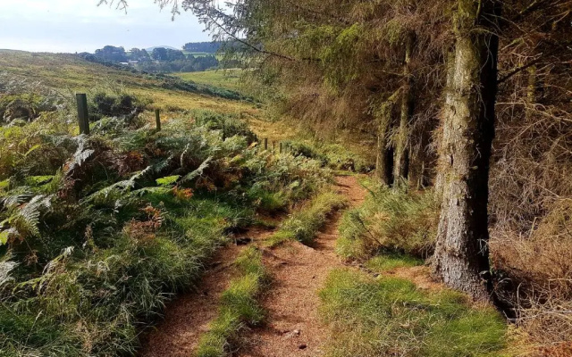 Woolly Hill House - In the Heart of Wooler