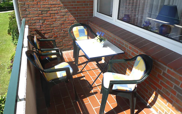 Nordseestern