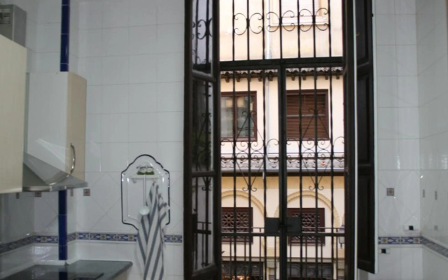 Apartamentos La Alcaiceria