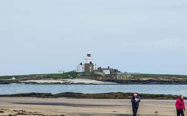 Sandy Knowes