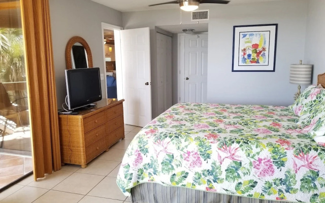Hibiscus B203