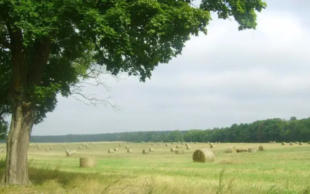 Gospodarstwo Agroturystyczne Leśniczówka