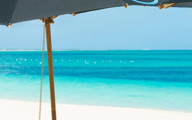 One On Marlin – Adults Only
