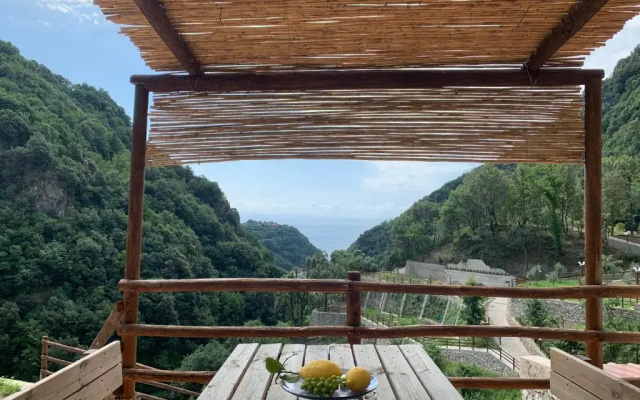 Tenuta Bosco