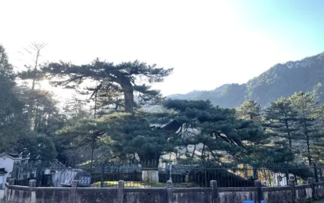 Jiuhua Mountain Yunshanjian Homestay