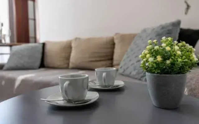 Apartment Viki