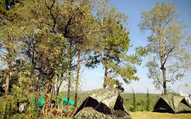 Phurua Camp Guest House