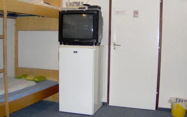 Olive Hostel