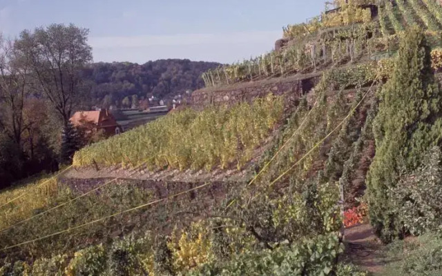 Weinmanufaktur Mariaberg