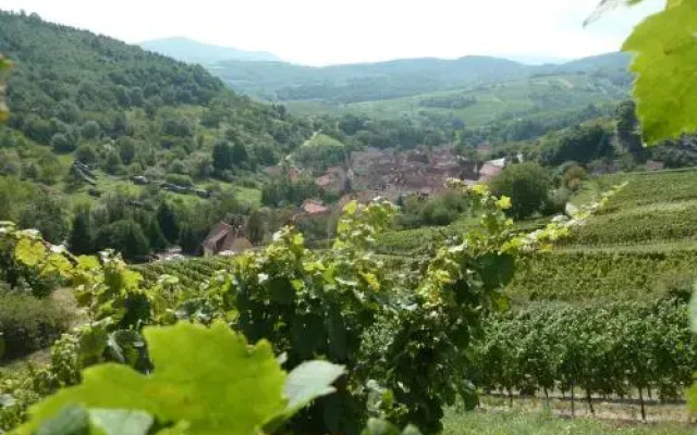 Schiefferberg