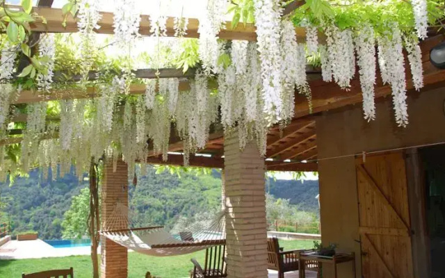 Villa Llora