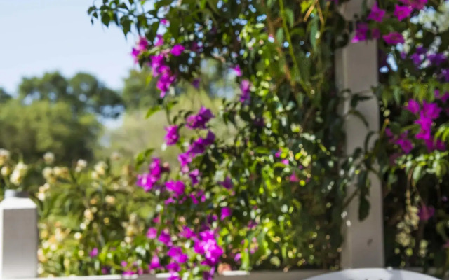 Hotel Etrusco