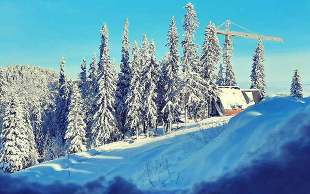 Pino apartman Jahorina