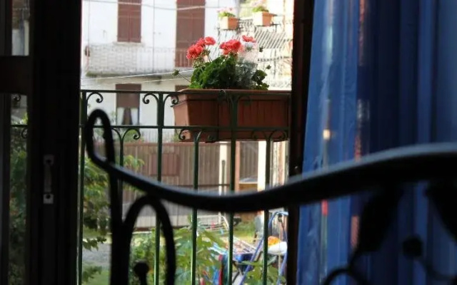 B&B Campino