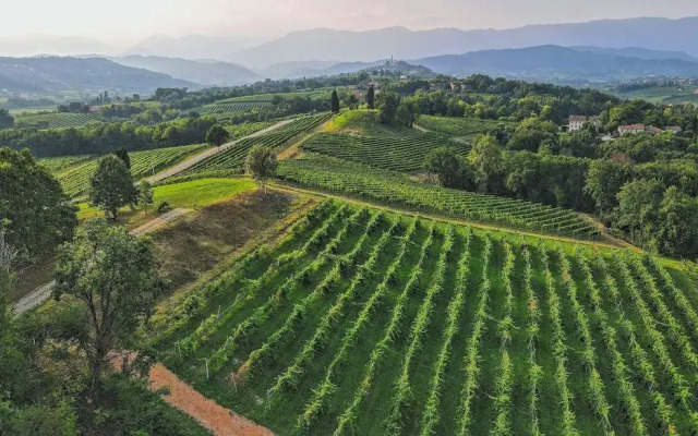 Tenuta Mani Sagge