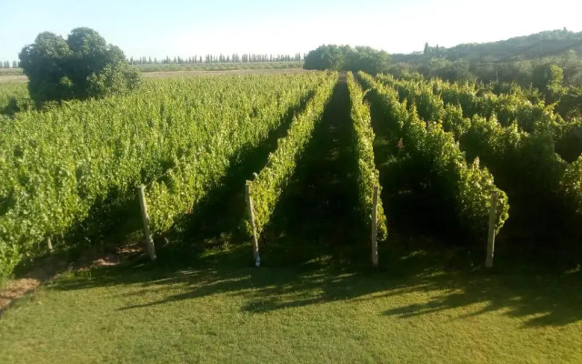Posada Cavieres Wine Farm