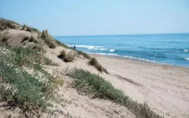 Wood House Close Beach