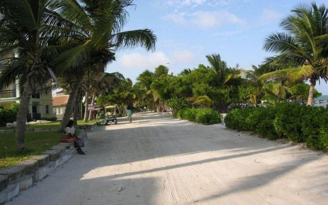 Seven Seas Resort in San Pedro, Belize from 148$, photos, reviews - zenhotels.com hotel front