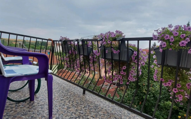 Apartment Vladan