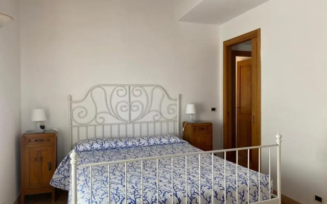 Alloro 1