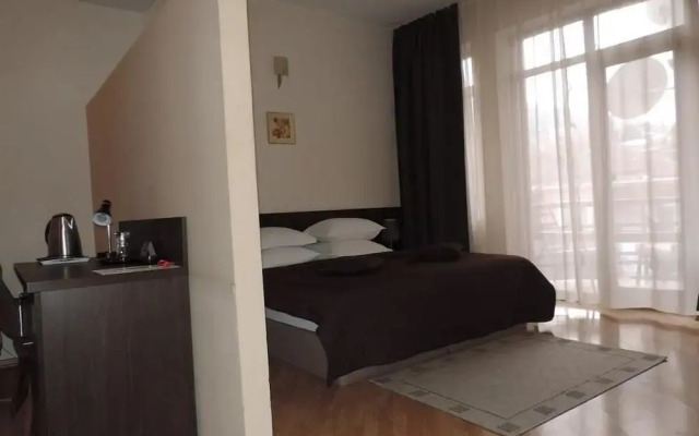 Отель VIP Victoria