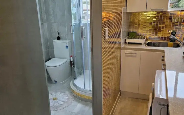 23 Studio Apartment in Mount Albert