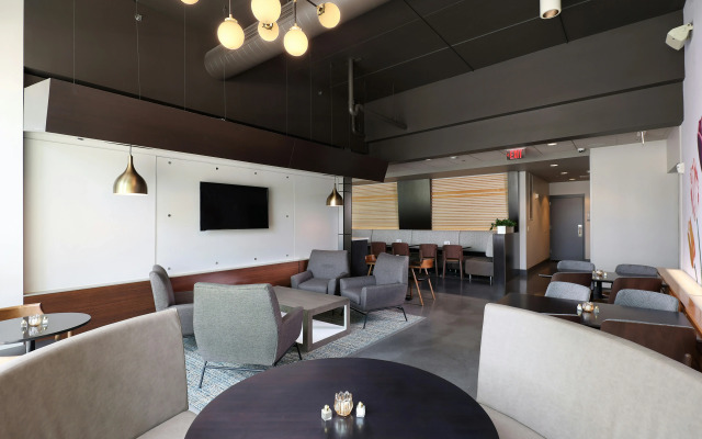 Tulyp, Tapestry Collection by Hilton