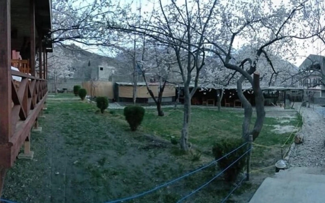 Northern Sapphire Hunza