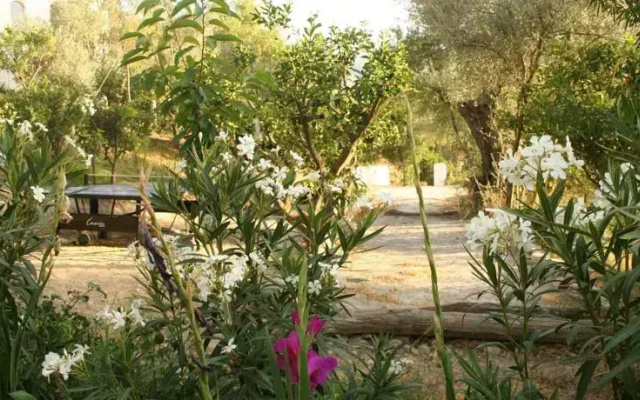 Molino Del Azahar