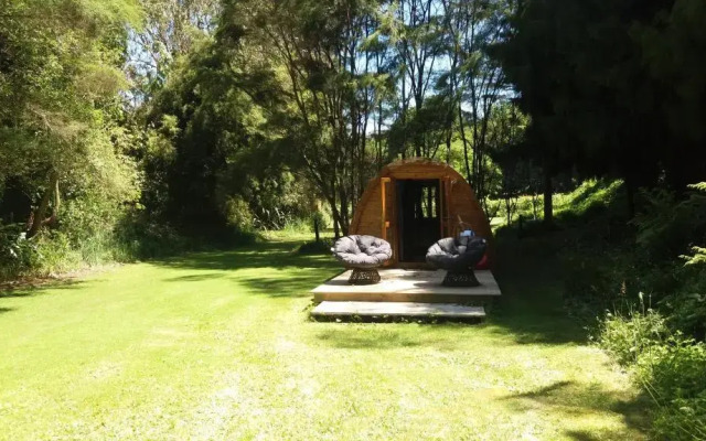 Quirky Woods