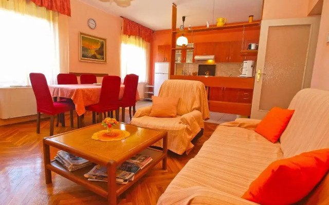 Apartment Branko 1142